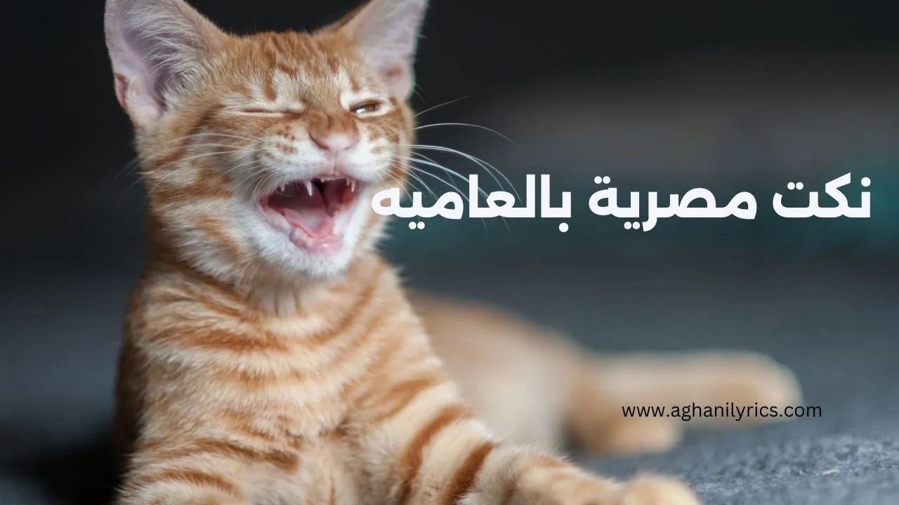 نكت مصرية بالعاميه